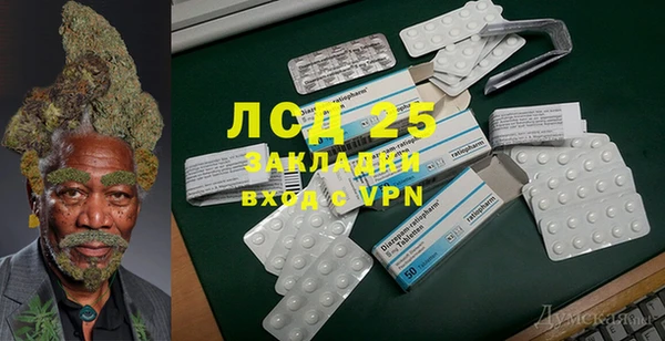 ГАЛЛЮЦИНОГЕННЫЕ ГРИБЫ Алзамай