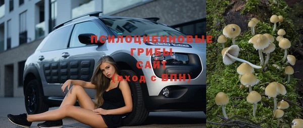 мескалин Алексин